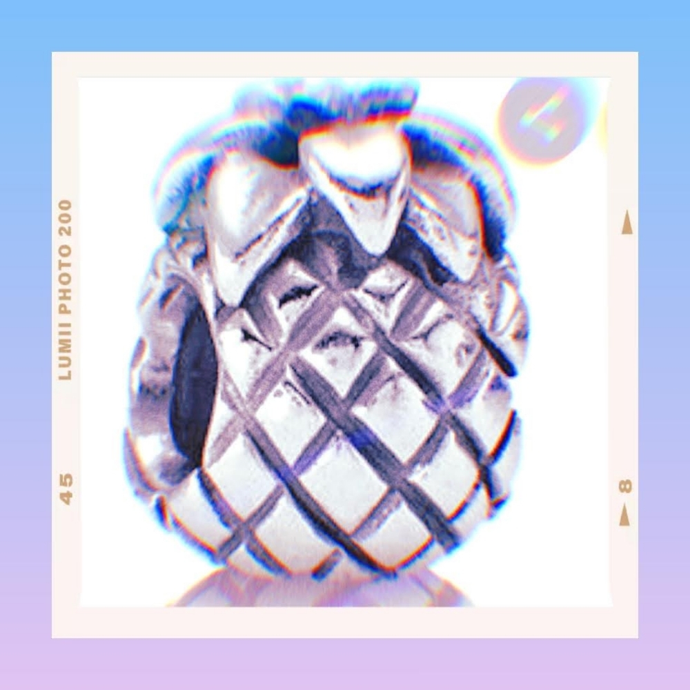Pandora Authentic Pineapple Slider Charm